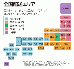 haiso_area